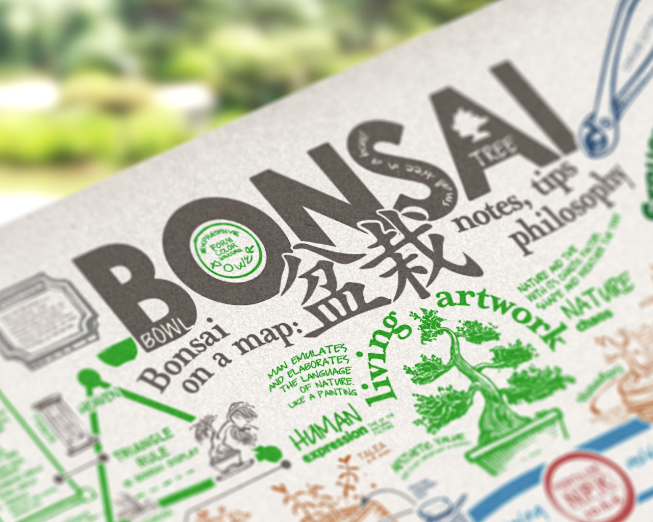 bonsai map infographic