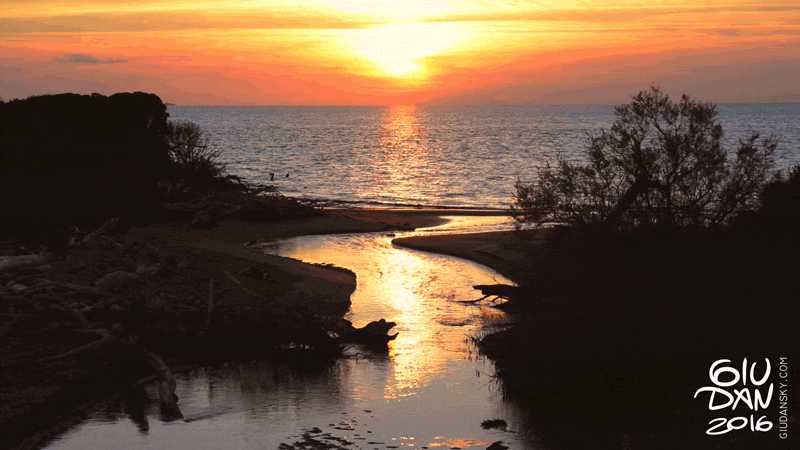 sunset on the river gif