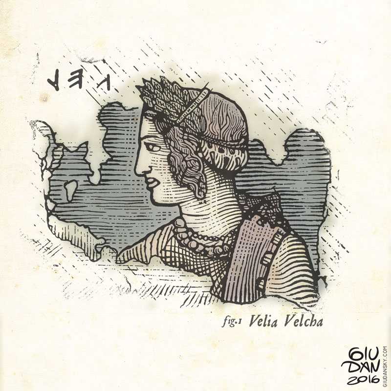 illustrazione incisione velia velcha